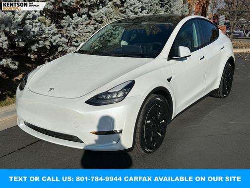 2021 Tesla Model Y Long Range Dual Motor All-Wheel Drive
