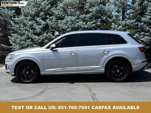 Florett Silver Metallic 2020 Audi Q7 55 Premium Plus