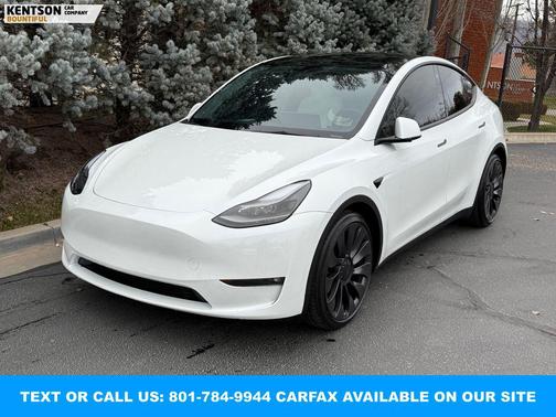 2023 Tesla Model Y Performance Dual Motor All-Wheel Drive