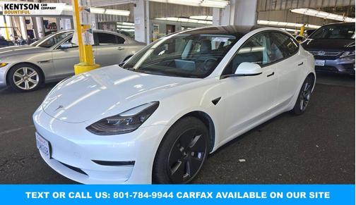 2023 Tesla Model 3 Standard Range