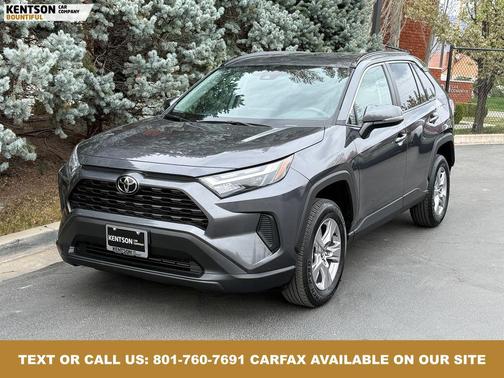 Magnetic Gray Metallic 2025 Toyota RAV4 XLE