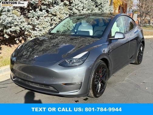 2022 Tesla Model Y Performance Dual Motor All-Wheel Drive