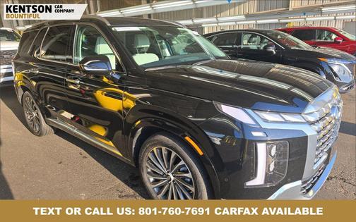 Abyss Black Pearl 2025 Hyundai PALISADE Calligraphy