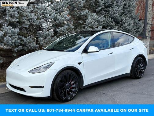 2022 Tesla Model Y Performance Dual Motor All-Wheel Drive