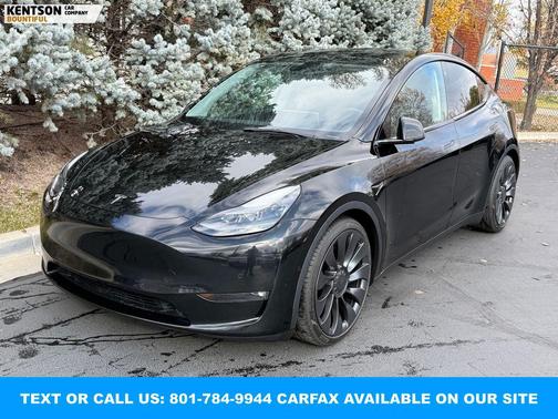 2022 Tesla Model Y Performance Dual Motor All-Wheel Drive