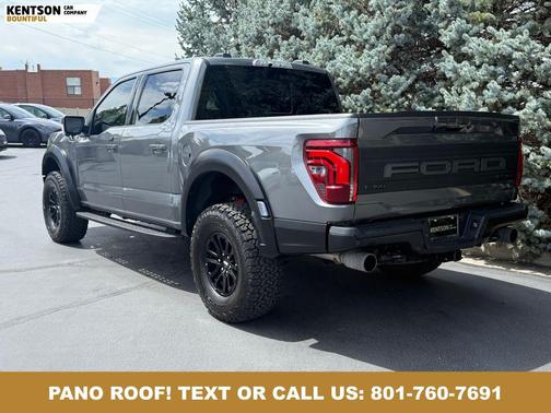 Carbonized Gray Metallic 2025 Ford F-150 Raptor
