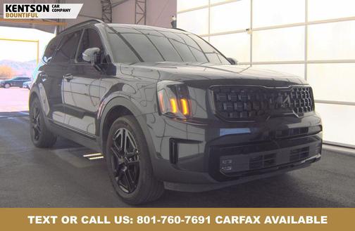 Panthera Metal 2025 Kia Telluride SX Prestige X-Line