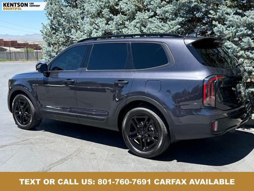 Panthera Metal 2025 Kia Telluride SX Prestige X-Line