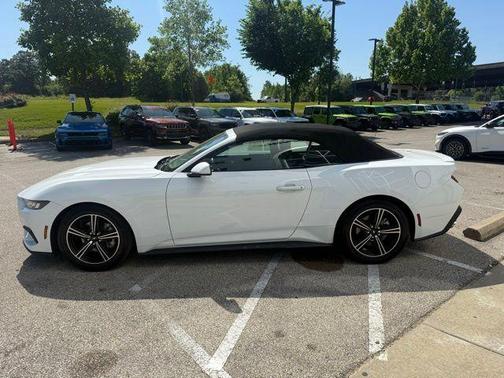 Oxford White 2024 Ford Mustang EcoBoost Premium