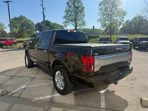 Black Metallic 2019 Ford F-150 Platinum