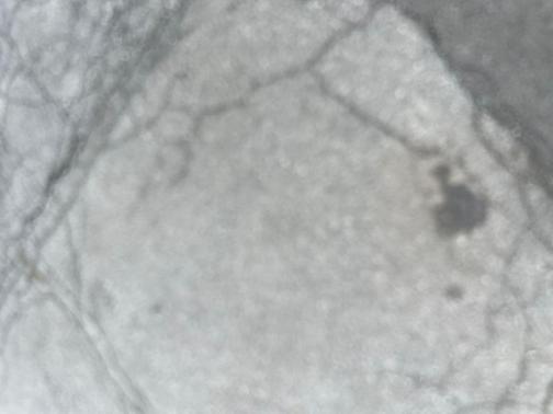 Titanium Rush Metallic 2025 GMC Sierra 1500 SLT