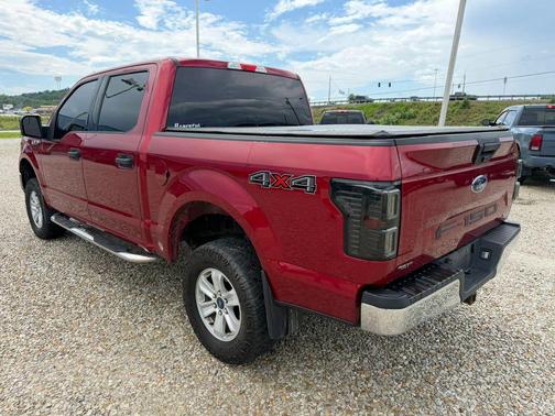 Ruby Red Metallic Tinted Clearcoat 2019 Ford F-150 XLT