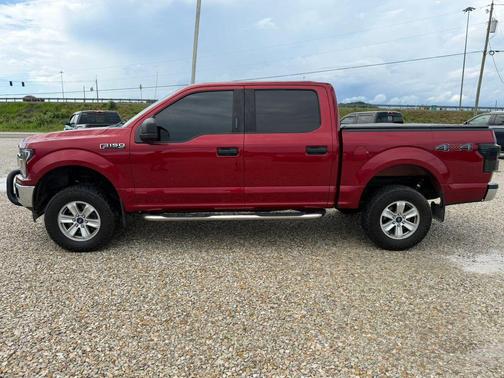 Ruby Red Metallic Tinted Clearcoat 2019 Ford F-150 XLT