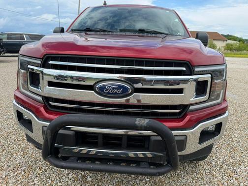 Ruby Red Metallic Tinted Clearcoat 2019 Ford F-150 XLT