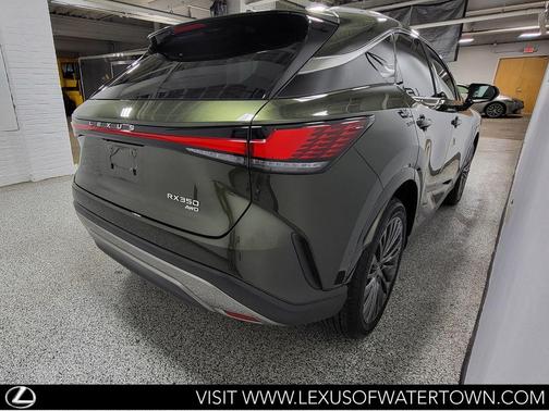 Nori Green Pearl 2025 Lexus RX 350 Luxury