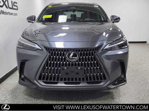 Cloudburst Gray 2024 Lexus NX 350h Luxury