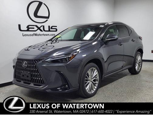 Cloudburst Gray 2024 Lexus NX 350h Luxury