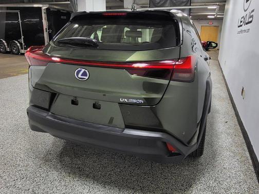 Nori Green Pearl 2019 Lexus UX 250h Luxury