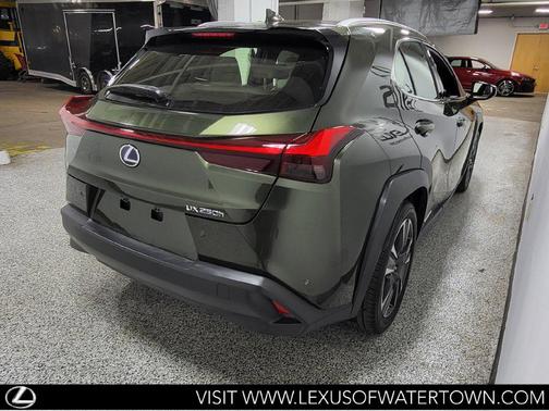 Nori Green Pearl 2019 Lexus UX 250h Luxury