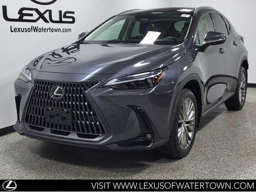 Cloudburst Gray 2024 Lexus NX 350 Luxury