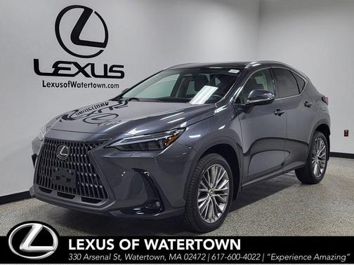 Cloudburst Gray 2024 Lexus NX 350 Luxury