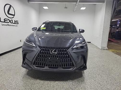 2024 Lexus NX 250 Premium