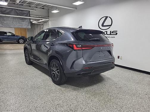 2024 Lexus NX 250 Premium
