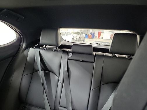 Caviar 2020 Lexus UX 250h Base