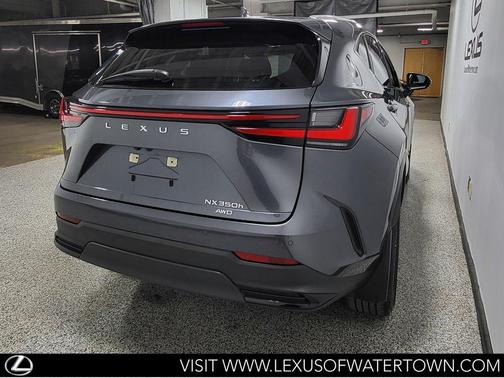 Cloudburst Gray 2024 Lexus NX 350h Premium
