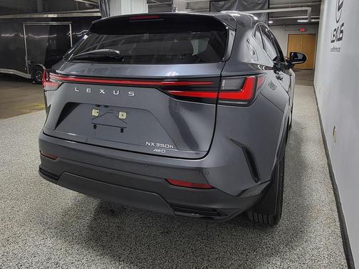 Cloudburst Gray 2024 Lexus NX 350h Premium