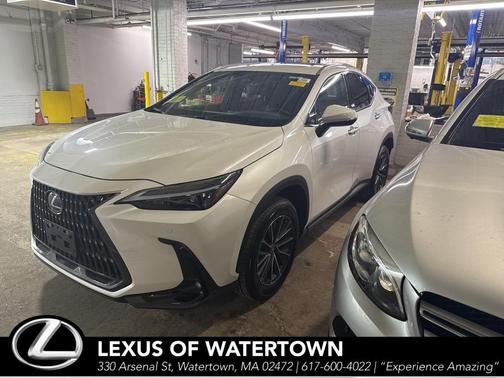 2025 Lexus NX 350 350