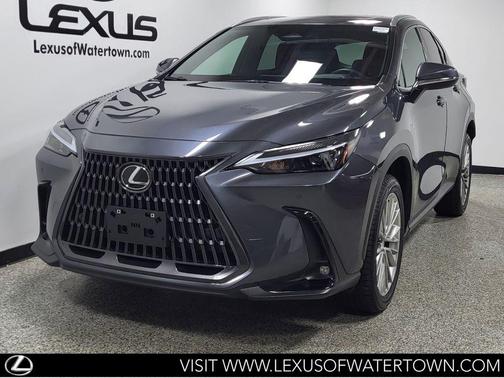 Cloudburst Gray 2025 Lexus NX 350 Premium