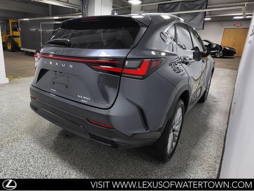 Cloudburst Gray 2025 Lexus NX 350 Premium
