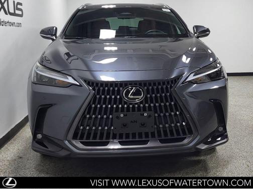 Cloudburst Gray 2025 Lexus NX 350 Premium