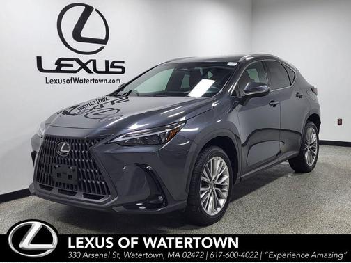 Cloudburst Gray 2025 Lexus NX 350 Premium