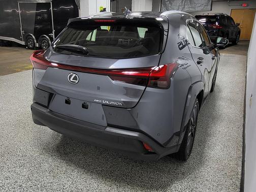 Cloudburst Gray 2024 Lexus UX 250h Base