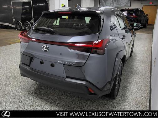 Cloudburst Gray 2024 Lexus UX 250h Base