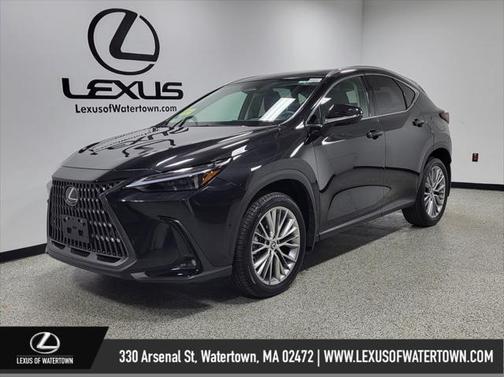 2025 Lexus NX 350 Luxury