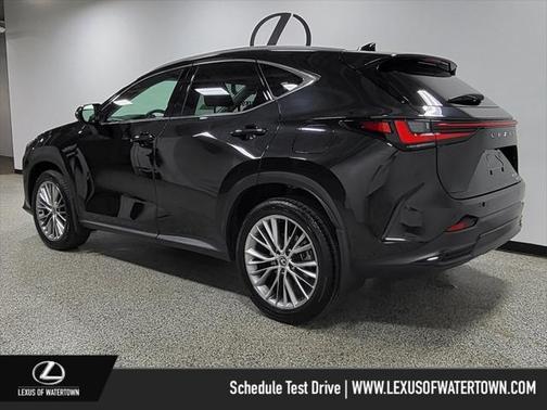 2025 Lexus NX 350 Luxury