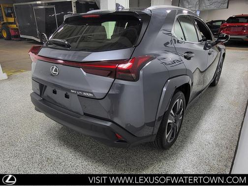 Cloudburst Gray 2025 Lexus UX 300h Premium