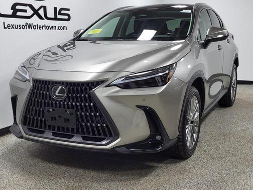 2022 Lexus NX 350 Luxury