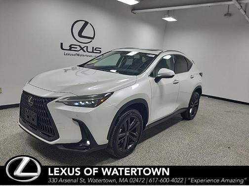 2025 Lexus NX 450h+ Luxury
