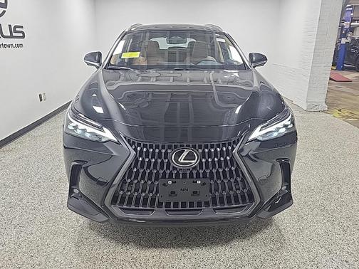 2025 Lexus NX 350h Luxury