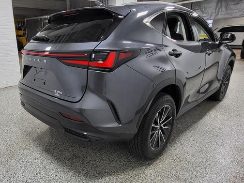 Cloudburst Gray 2024 Lexus NX 350 Premium