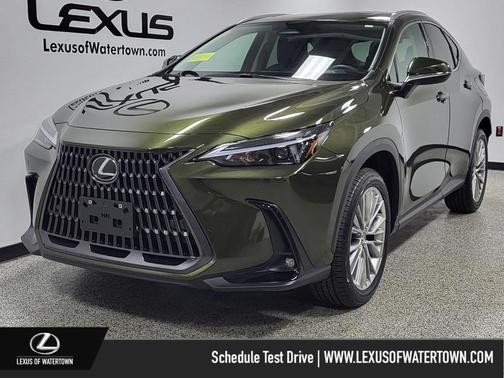 2025 Lexus NX 350 Premium
