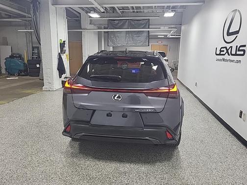 2024 Lexus UX 250h F Sport