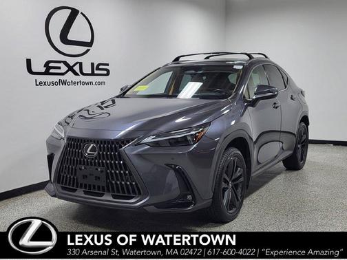 Cloudburst Gray 2024 Lexus NX 450h+ Luxury
