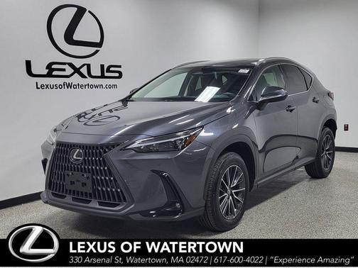 Cloudburst Gray 2024 Lexus NX 350 Premium