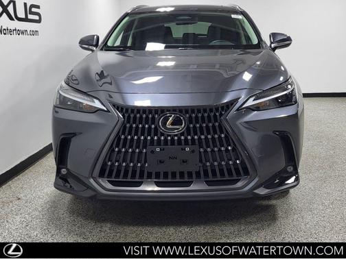 Cloudburst Gray 2024 Lexus NX 350 Premium