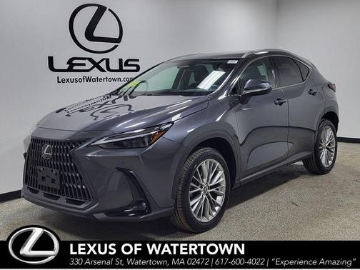 2023 Lexus NX 350 Luxury